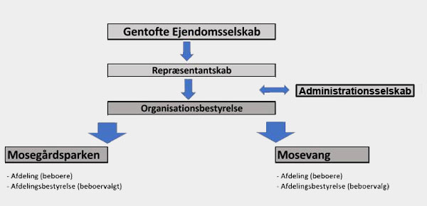Organisationsdiagram over Gentofte Ejedomsselskab